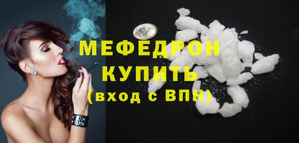 стаф Ельня