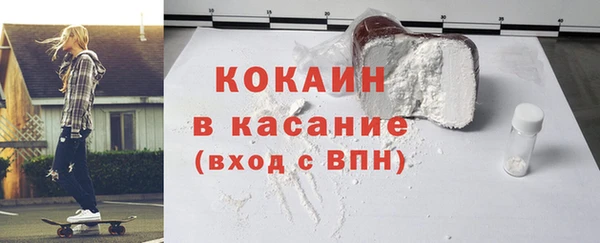 стаф Ельня