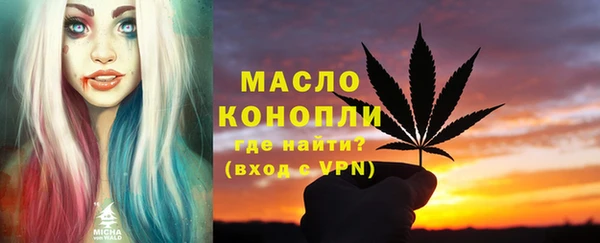 стаф Дмитров