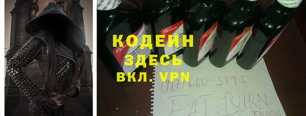 стаф Ельня