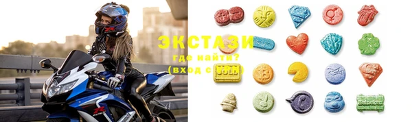 стаф Дмитров