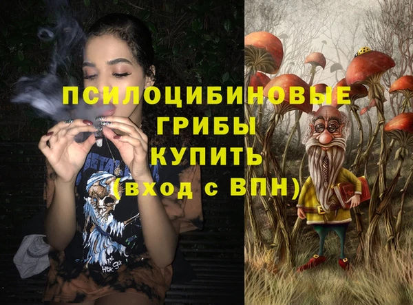 стаф Дмитров