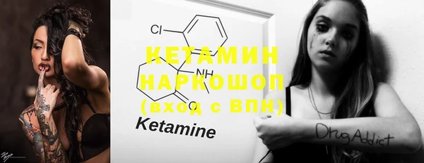 стаф Дмитров