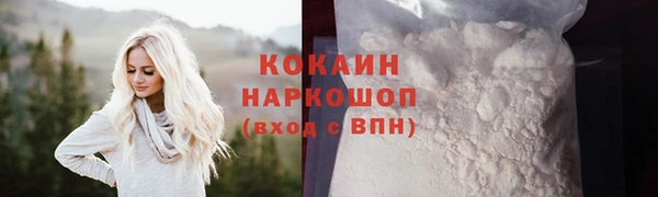 дмт Дмитровск