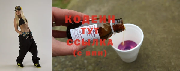 стаф Ельня