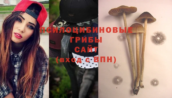 меф VHQ Дмитриев