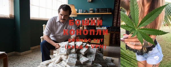 стаф Дмитров