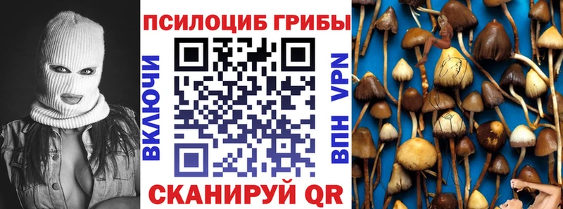 закладки  Батайск  Галлюциногенные грибы MAGIC MUSHROOMS 